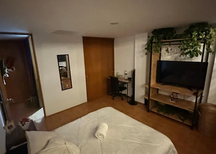 Lovely Room In Roma Norte